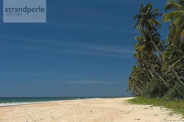 Strand an der Südküste  in der Nähe von Unawatuna; Sri Lanka