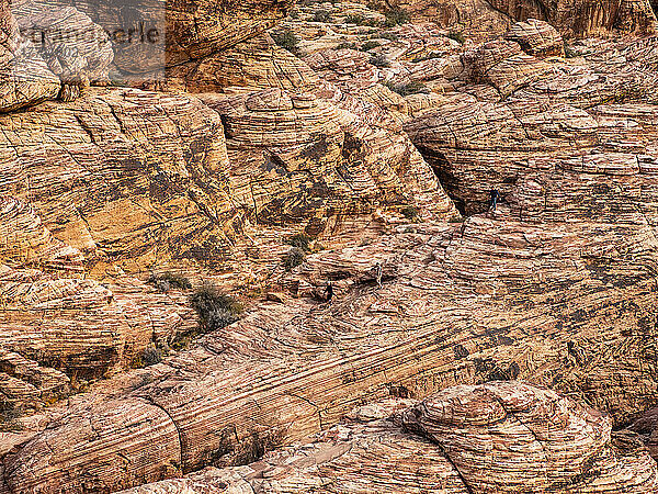 Die Felsen des Red Rock Canyon in der Nähe von Las Vegas; Nevada  Vereinigte Staaten von Amerika