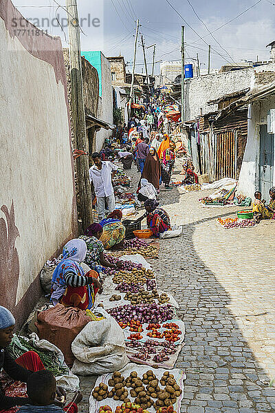 Szenen rund um die Altstadt von Harar in Ostäthiopien; Harar  Äthiopien