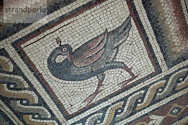 Frühchristliches Mosaik in den Ruinen der Kirche auf dem Berg Nebo; Jordanien