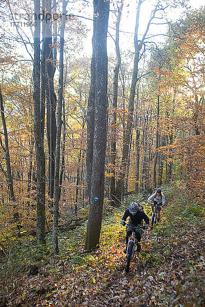 Zwei Mountainbiker fahren auf einem Laubweg im Wald  Tea Creek Mountain Trail  Pocahontas County  West Virginia  USA; West Virginia  Vereinigte Staaten von Amerika