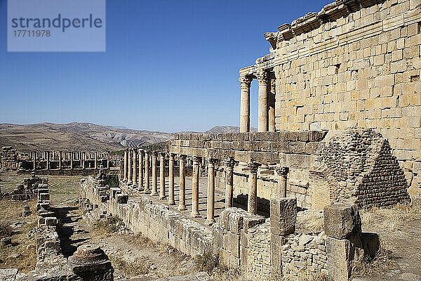 Römische Ruinen  Ansicht des Severischen Tempels; Djemila  Algerien