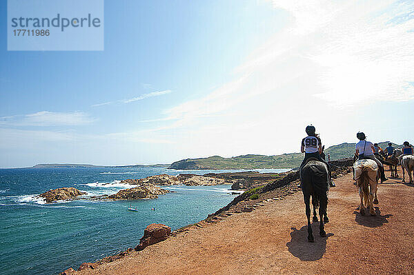 Pferde in Cala Pregonda  Menorca  Balearische Inseln  Spanien