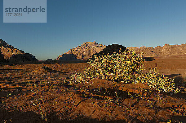Ein Labyrinth aus monolithischen Felsen  die sich aus dem Wüstenboden erheben  Wadi Rum; Jordanien