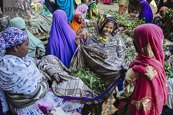 Qat-Verkäufer auf einem Markt außerhalb der Altstadt von Harar in Ostäthiopien; Harar  Äthiopien