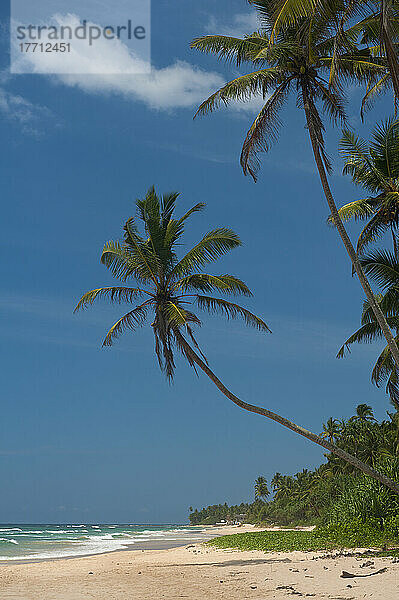 Strand an der Südküste bei Unawatuna; Sri Lanka