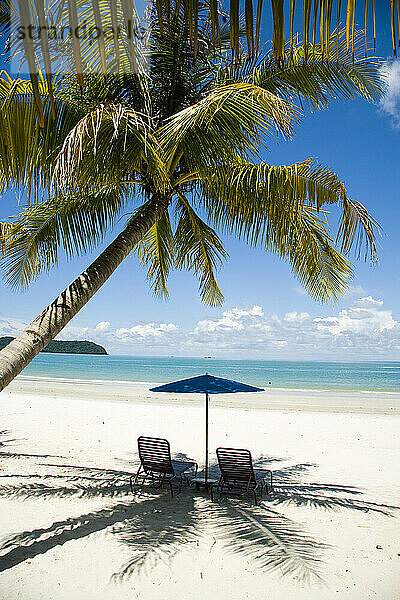 Liegestühle unter Sonnenschirm am weißen Sandstrand mit Palmen und Blick auf das blaue Meer. Pantai Cenang (Cenang Strand)  Pulau Langkawi  Malaysia  Südostasien.