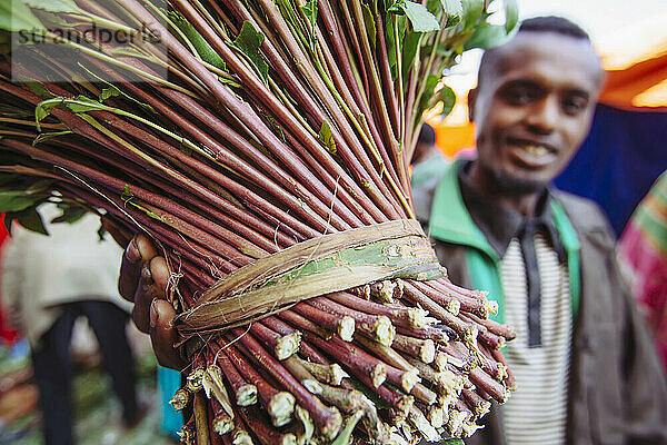 Qat-Verkäufer auf einem Markt außerhalb der Altstadt von Harar in Ostäthiopien; Harar  Äthiopien