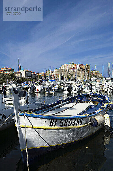 Der Jachthafen und die Zitadelle von Calvi. Der Stadtteil Balagne. Korsika. Frankreich
