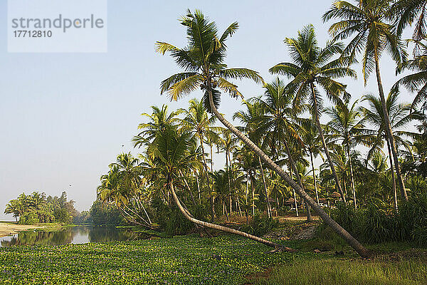 Neeleshwar Hermitage Beach; Kerala  Indien