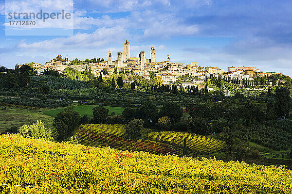 Weinberge und San Gimignano; Toskana  Italien