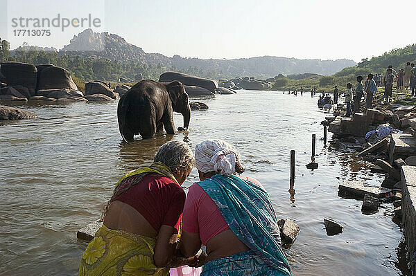 Ein Elefant watet im Fluss mit Menschen am Flussufer; Hampi  Karnataka  Indien