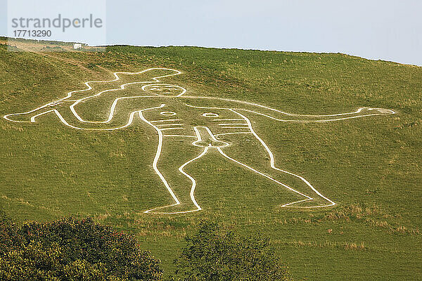 Der Riese von Cerne Abbas  der auch als The Rude Man oder The Rude Giant bezeichnet wird  ist eine Figur eines riesigen nackten Mannes auf einem Hügel in der Nähe des Dorfes Cerne Abbas  nördlich von Dorchester  Dorset  England