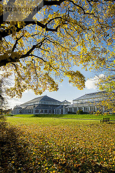 Kew Gardens Temperate House; London  England