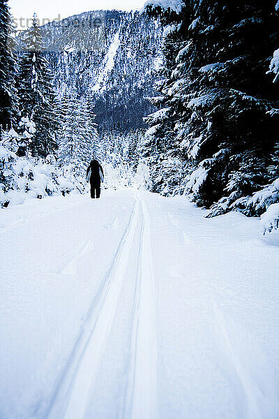 Frau  die auf einem schneebedeckten Weg im Winter durch eine dramatische alpine Winterlandschaft wandert; Ortnevik  Sognefjord  Norwegen