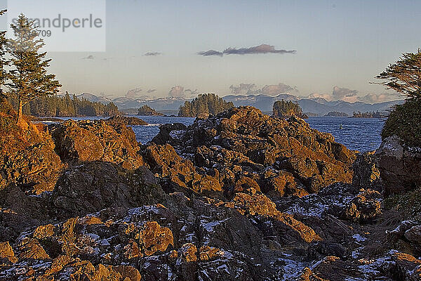 Felsenküste mit Schnee; Ucluelet Vancouver Island British Columbia Kanada