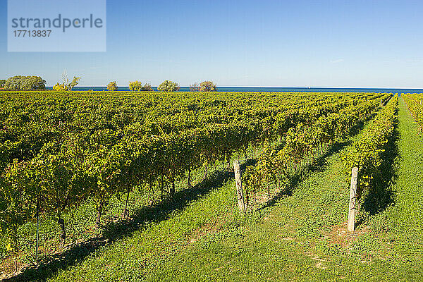 Weingut Konzelmann Estate Winery  Niagara-On-The-Lake  Ontario