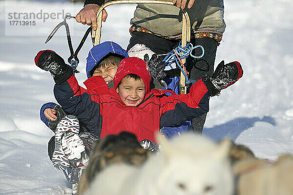 Junge Jungen bei einer Fahrt auf einem Hundeschlitten  Pelly Crossing  Yukon.