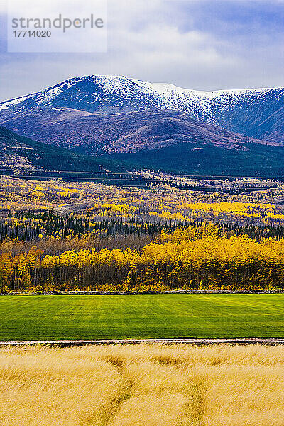 Kleines Gebirge entlang des Klondike Highway  Yukon