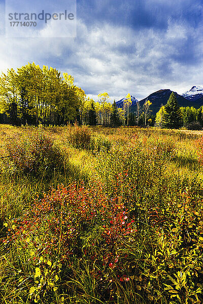 Wahl des Künstlers: Herbstfarben und gewaltige Ausmaße  Banff National Park  Alberta