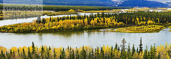 Yukon River und Herbstfarben in der Nähe von Carmacks  Yukon