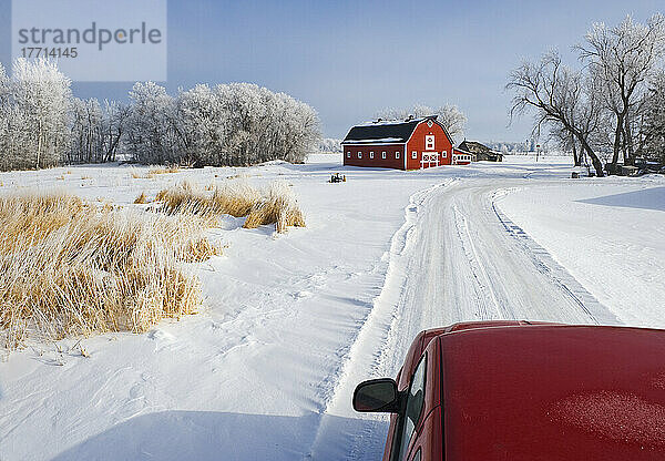 Artist's Choice: Truck Along Country Lane With Red Barn In Background  Winter  Near Oakbank  Manitoba