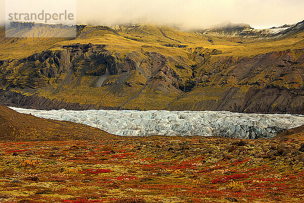 Tundra in Herbstfarben mit einem Gletscher  der durch eines der Täler im Skaftafell-Nationalpark  Island  fließt