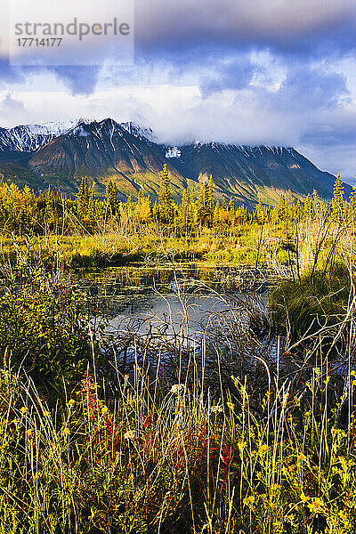 Auswahl des Künstlers: Teich und Kluane Range bei Sonnenaufgang  Kluane National Park  Yukon