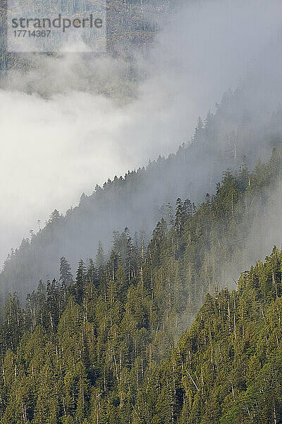 Dicke Wolken bedecken Berge  Mussel Inlet  Great Bear Rainforest  British Columbia