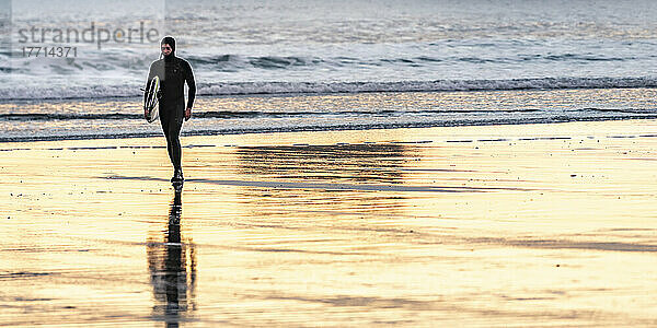 Ein Surfer trägt sein Surfbrett auf dem nassen Sand am beliebten Surfrevier am Chesterman Beach  Pacific Rim National Park Reserve  Vancouver Island; British Columbia  Kanada