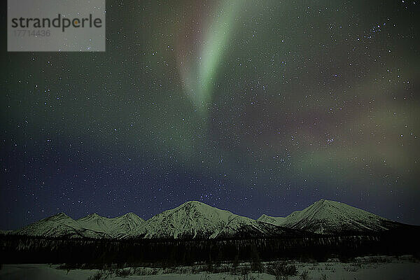 Aurora Borealis oder Nordlichter über den Bergen in der Nähe von Whitehorse  Yukon.