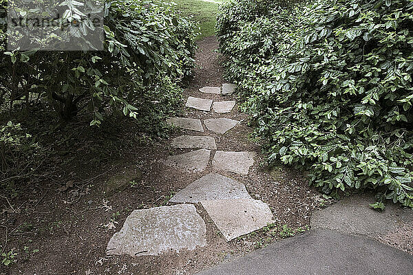 Steinweg im Park