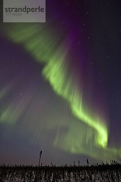 Aurora Borealis oder Nordlichter über den Eagle Plains  Dempster Highway  Yukon.