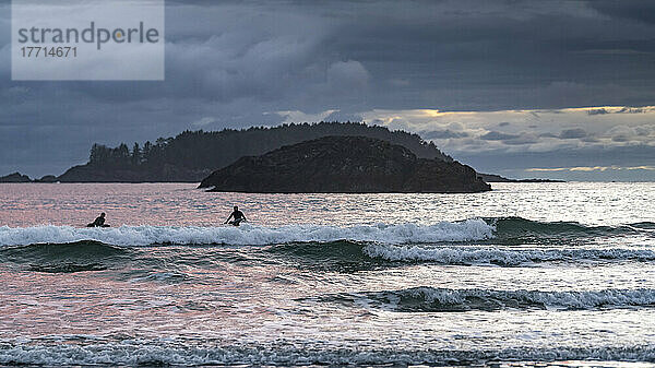 Surfer sitzen auf ihren Surfbrettern in der Brandung am beliebten Surfrevier Chesterman Beach in der Pazifikregion von Vancouver Island; British Columbia  Kanada