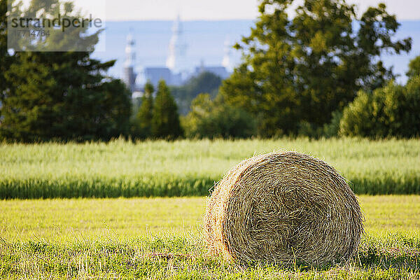 Heuballen mit Kirche im Hintergrund  Region Bas-Saint-Laurent  Trois-Pistoles  Quebec