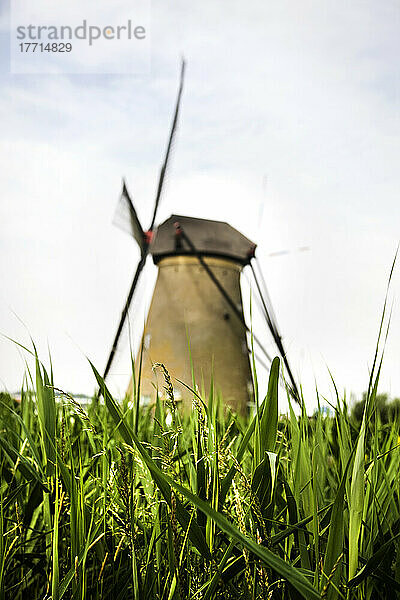 Windmühle  Holland