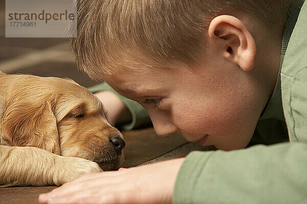 Junge mit Golden Retriever Welpe