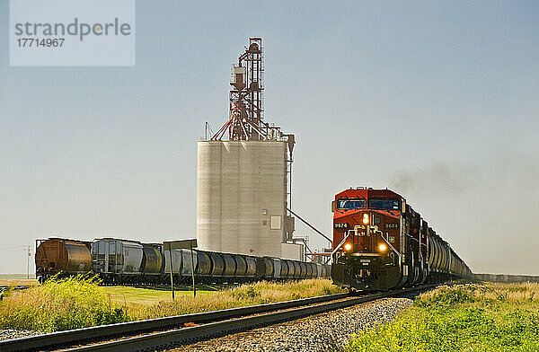 Ein Zug mit Getreidewagen fährt an einem Inland-Getreide-Terminal vorbei  Gull Lake  Saskatchewan