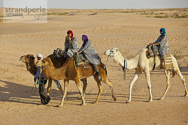 Touristen genießen einen Kamelritt in der Wüste; Zaafrane  Tunesien  Nordafrika