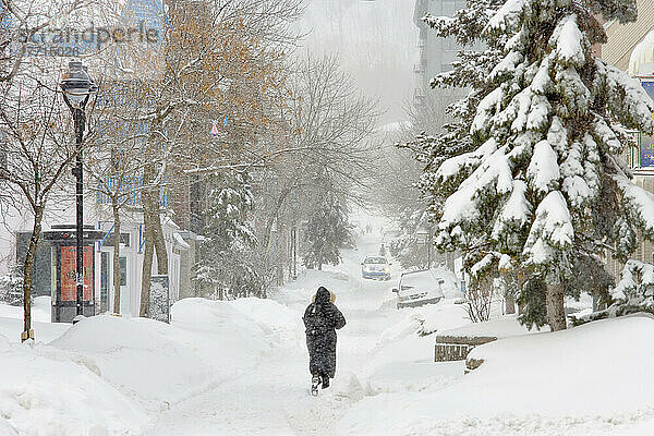 Auswahl des Künstlers: Frau geht im Schneetreiben  Montreal  Quebec
