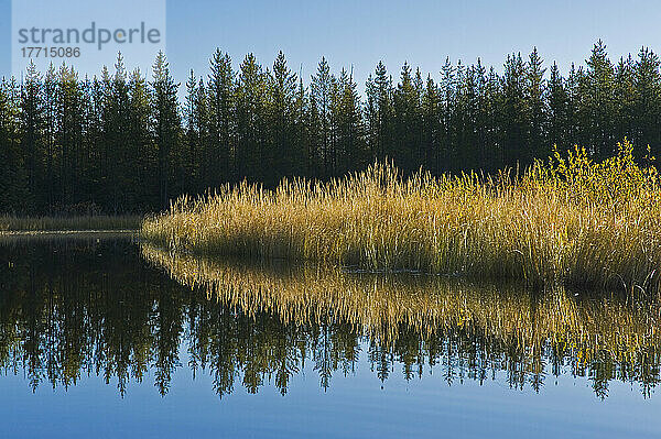 Smallfish Lake in den Porcupine Hills; Saskatchewan Kanada