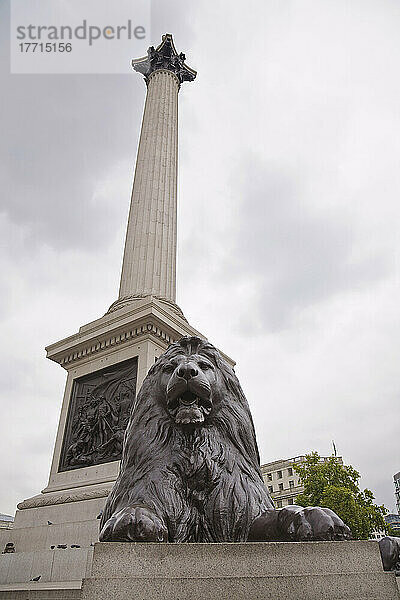 Denkmal und Löwenskulptur am Trafalgar Square; London  England