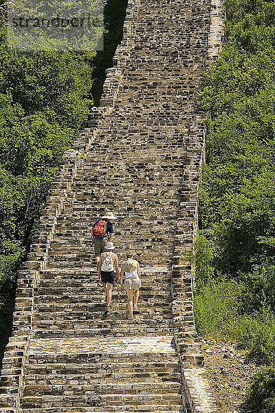 Touristen steigen die Stufen der Simatai Great Wall hinauf zu einem der 35 Wachtürme entlang des 5 4 km langen Abschnitts der Chinesischen Mauer im Norden des Landkreises Miyun  China.