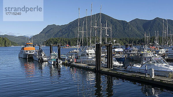 Im Hafen von Tofino  Vancouver Island  vertäute Boote; Tofino  British Columbia  Kanada