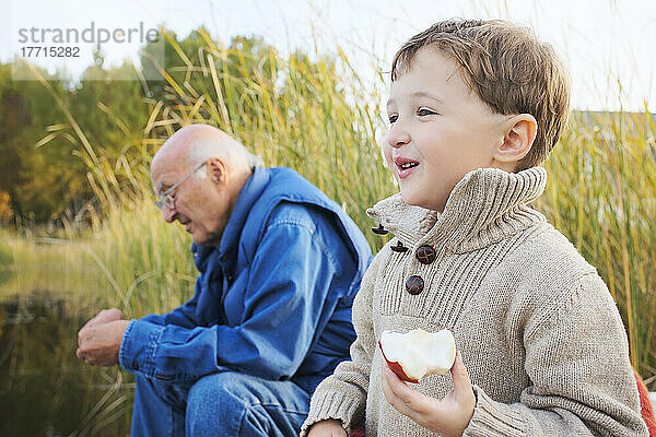 Kleiner Junge isst Apfel mit Großvater  Stayner  Ontario