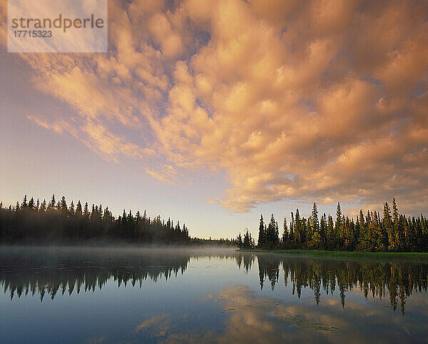 Fv0618  Dave Reede; Flusslandschaft  Grass River bei Pisew Falls  Manitoba