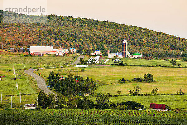 Farmstrukturen und Landschaft; Chesterville Quebec Kanada