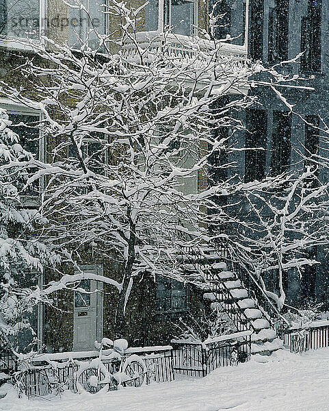 Drolet Street im Winter  Montreal  Quebec