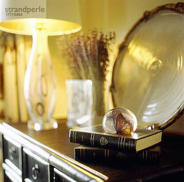 Schmetterling Briefbeschwerer und Lampe auf Bureau