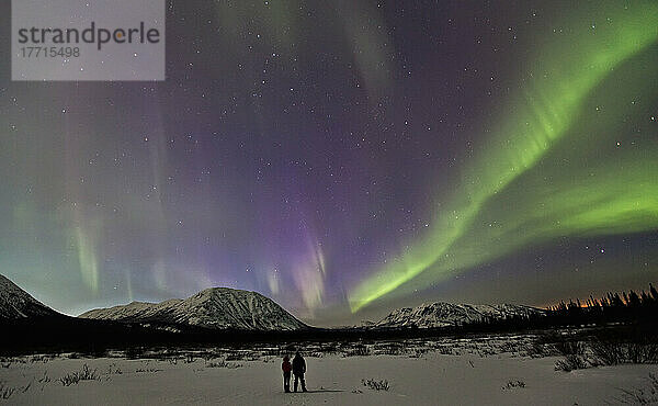 Menschen  die die Aurora Borealis oder Nordlichter im Yukon beobachten.